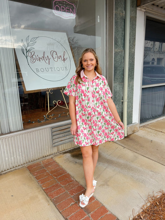 Floral & Striped Mini Dress