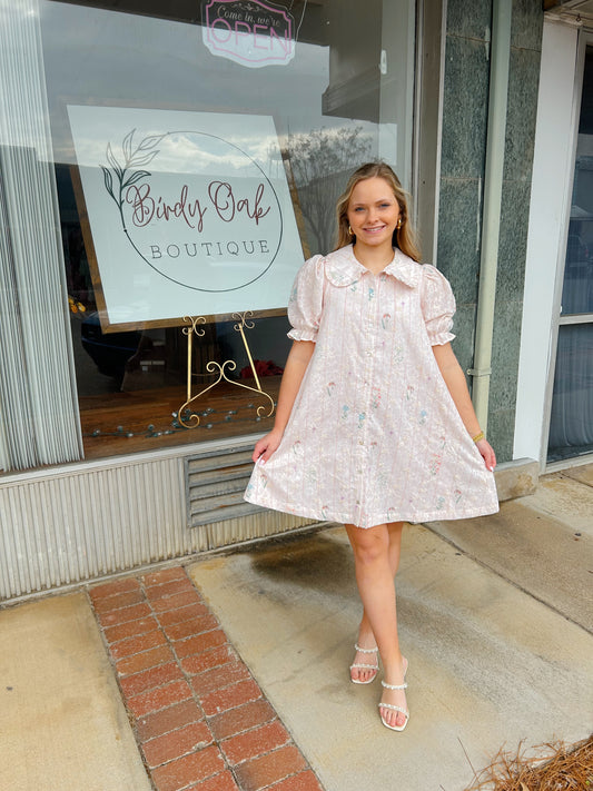 Embroider Peter Pan Collar Mini Dress